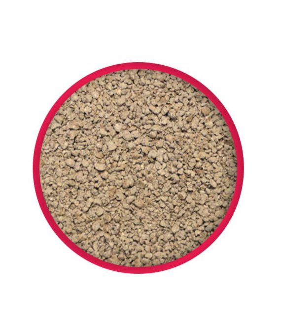 Para todo tipo de gatos